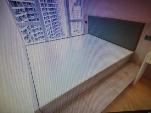 Season Tree Interior Fitting Out and Contracting - 