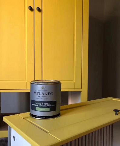 王生 - 橱柜改色