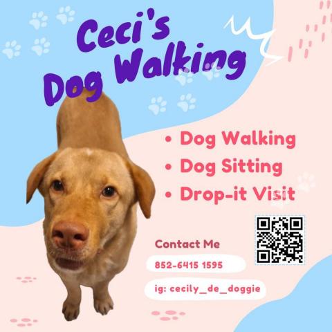 香港遛狗專員Ceci^^ - 6415 1595~ Call我? 香港遛狗專員Ceci^^ - 6415 1595~ Call我?