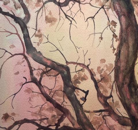 Tina Zhang - 風景水彩