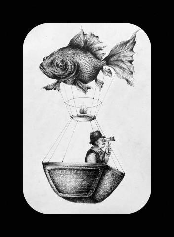 Okyliela - Illustration Okyliela - Illustration