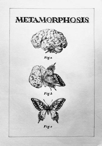 Okyliela - Illustration  Okyliela - Illustration