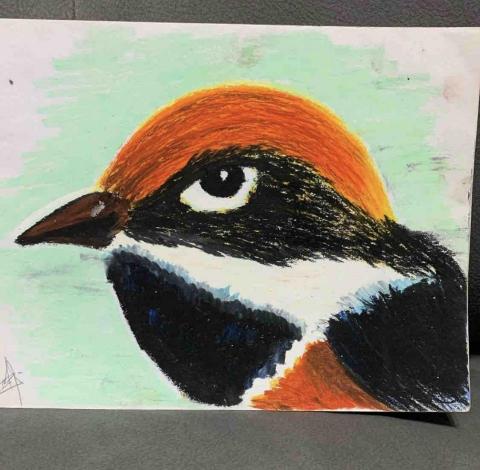 sosze20001@yahoo.com.hk - 油粉彩 sosze20001@yahoo.com.hk - 油粉彩