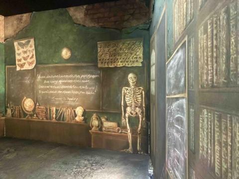 Okyliela - Mural Painting/ Scenic Painting Okyliela - Mural Painting/ Scenic Painting