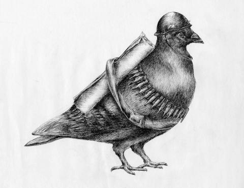 Okyliela - Illustration  Okyliela - Illustration