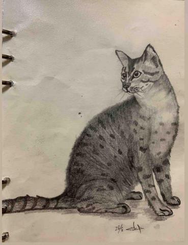 sosze20001@yahoo.com.hk - 素描 sosze20001@yahoo.com.hk - 素描