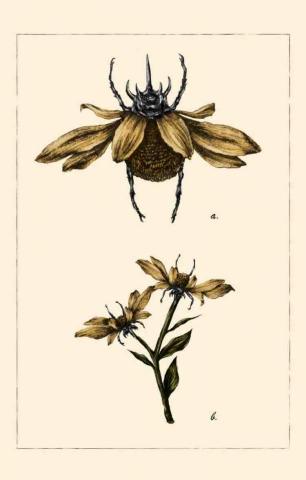 Okyliela - Digital illustration Okyliela - Digital illustration