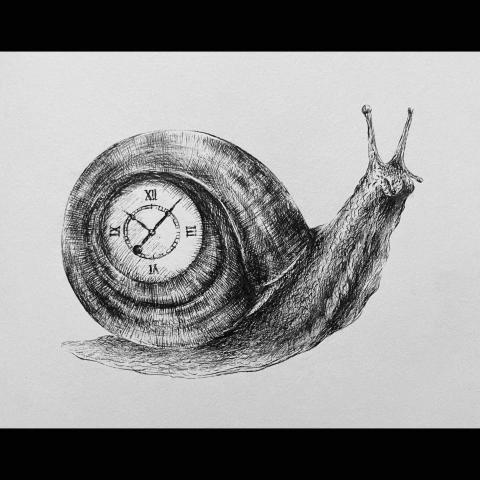 Okyliela - Illustration  Okyliela - Illustration