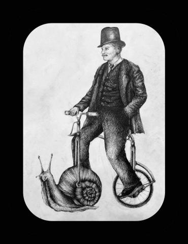 Okyliela - Illustration  Okyliela - Illustration