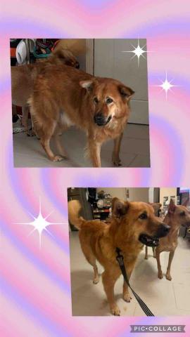 Wing - ☺️唐唐都可以扮靚靚架☺️