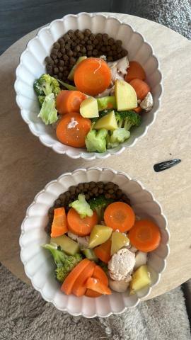 ashley Marvin - 狗狗特別午餐，寄宿喺我屋企10日