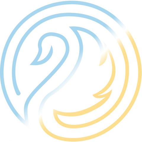 提供活動，健康和保健監視器服務的專家VINKIPRODUCTION
