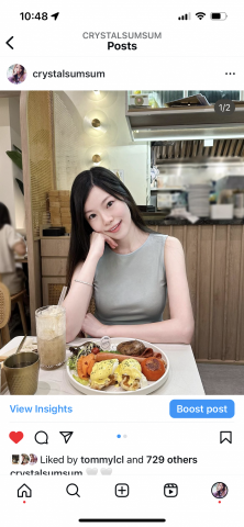 @crystalsumsum - UNIQLO - 夏日背心job reference