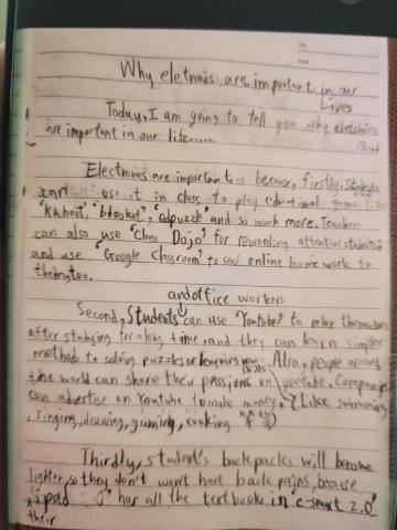 Lexia Lo - Essay Writing Consultation Editing + Translation Services