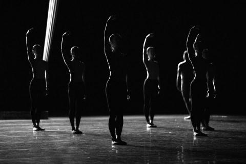 Marco Chan - Photographer