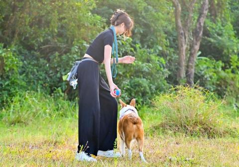 Mandy - 寵物訓練~教狗狗拾回物件 Mandy - 寵物訓練~教狗狗拾回物件