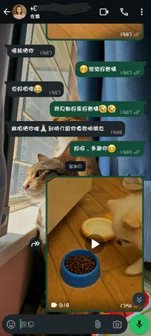 Love pets family - 得到客戶好評讚賞