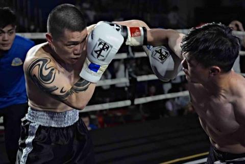 insight boxing club - 職業賽