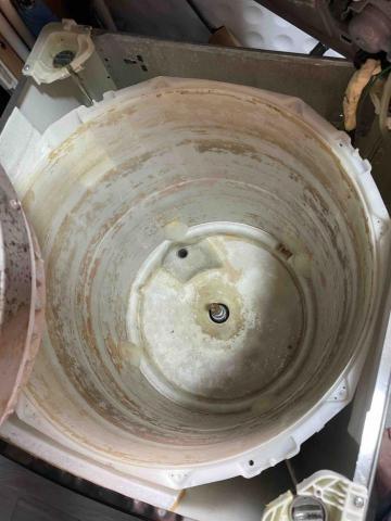 陳師傅 - 定期清洗對皮膚非常之重要 陳師傅 - 定期清洗對皮膚非常之重要