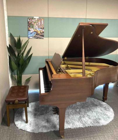 Mozart Studio - Yamaha 