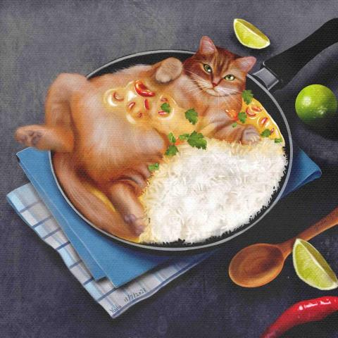 Gloria - Curry cat
