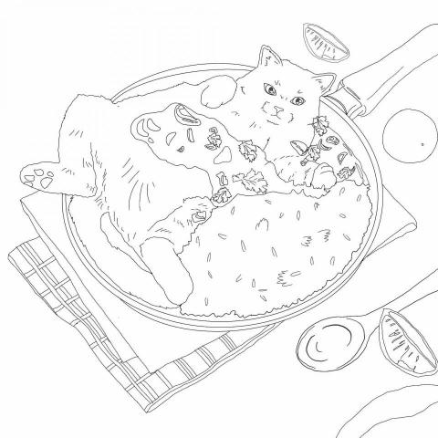 Gloria - Curry cat