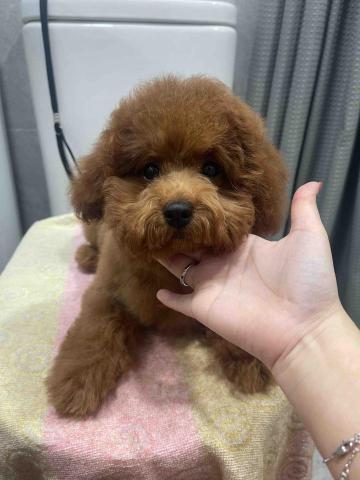 留下喵步 - After 留下喵步 - After