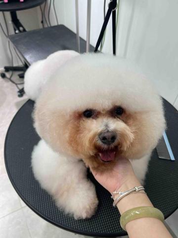 留下喵步 - After 留下喵步 - After