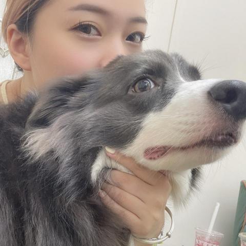 提供催乳師招聘服務的專家留下喵步