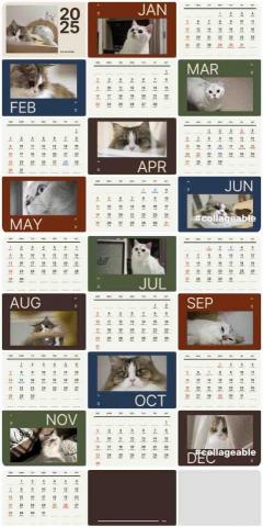 劈叉喵平面設計 - 