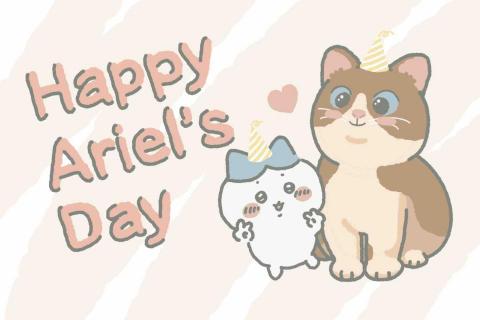 劈叉喵平面設計 - 