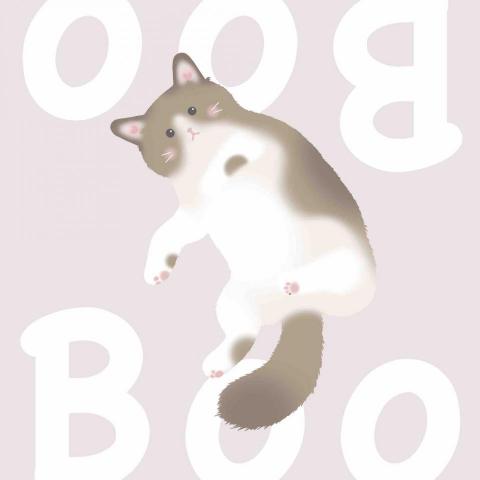 劈叉喵平面設計 - 