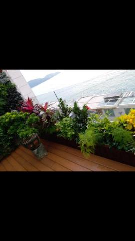 優美園藝，水族工程保護 - 