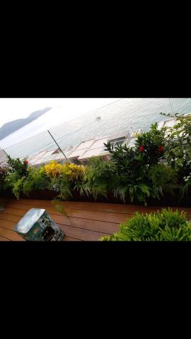 優美園藝，水族工程保護 - 