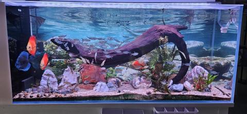 優美園藝，水族工程保護 - 