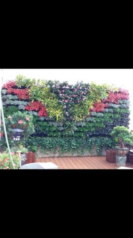 優美園藝，水族工程保護 - 