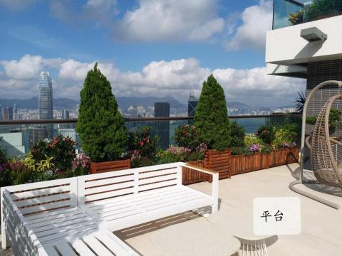 優美園藝，水族工程保護 - 