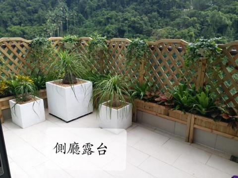 優美園藝，水族工程保護 - 