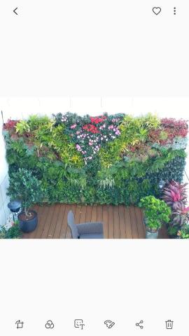 優美園藝，水族工程保護 - 