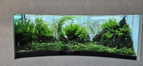 優美園藝，水族工程保護 - 