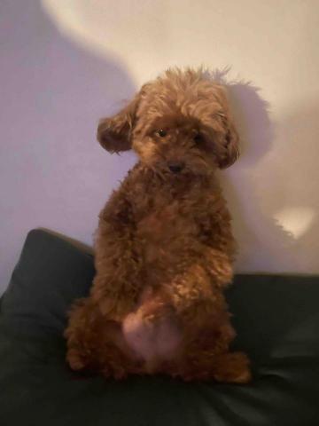 00’s Anson Babysitter -  00’s Anson Babysitter -