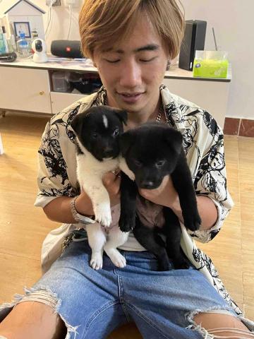 00’s Anson Babysitter -  00’s Anson Babysitter -