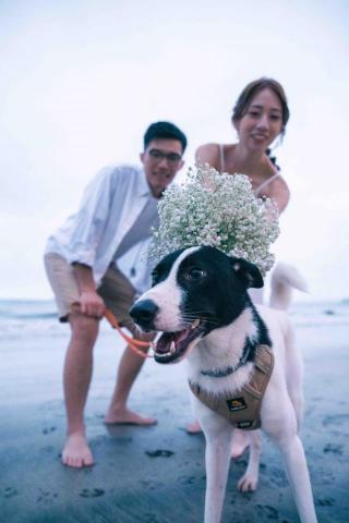 the MadFocus by Jacob - 沙灘上和狗狗拍攝prewedding  the MadFocus by Jacob - 沙灘上和狗狗拍攝prewedding