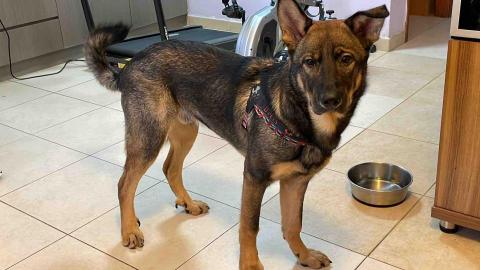 00’s Anson Babysitter -  00’s Anson Babysitter -