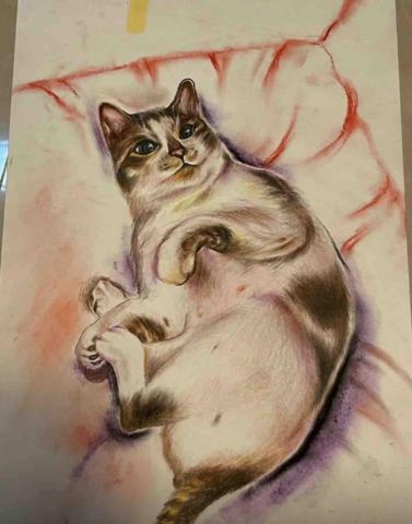 Eva painting - 貓咪素描加粉彩