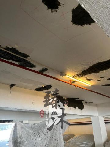 臻沐工程（香港）有限公司 - 麗莎灣停車場工程