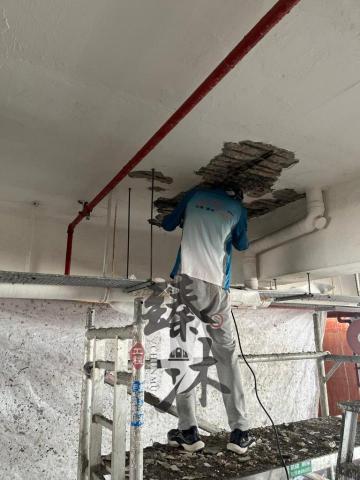 臻沐工程（香港）有限公司 - 麗莎灣停車場工程