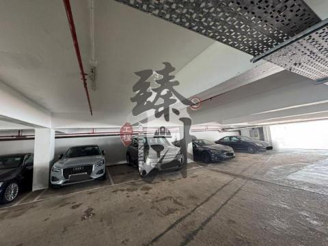 臻沐工程（香港）有限公司 - 麗莎灣停車場工程