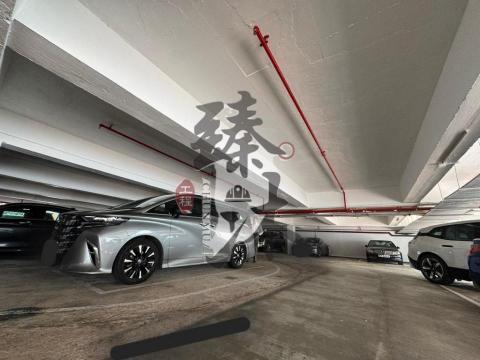 臻沐工程（香港）有限公司 - 麗莎灣停車場工程