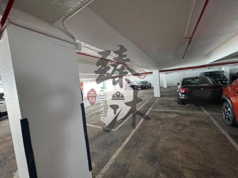 臻沐工程（香港）有限公司 - 麗莎灣停車場工程